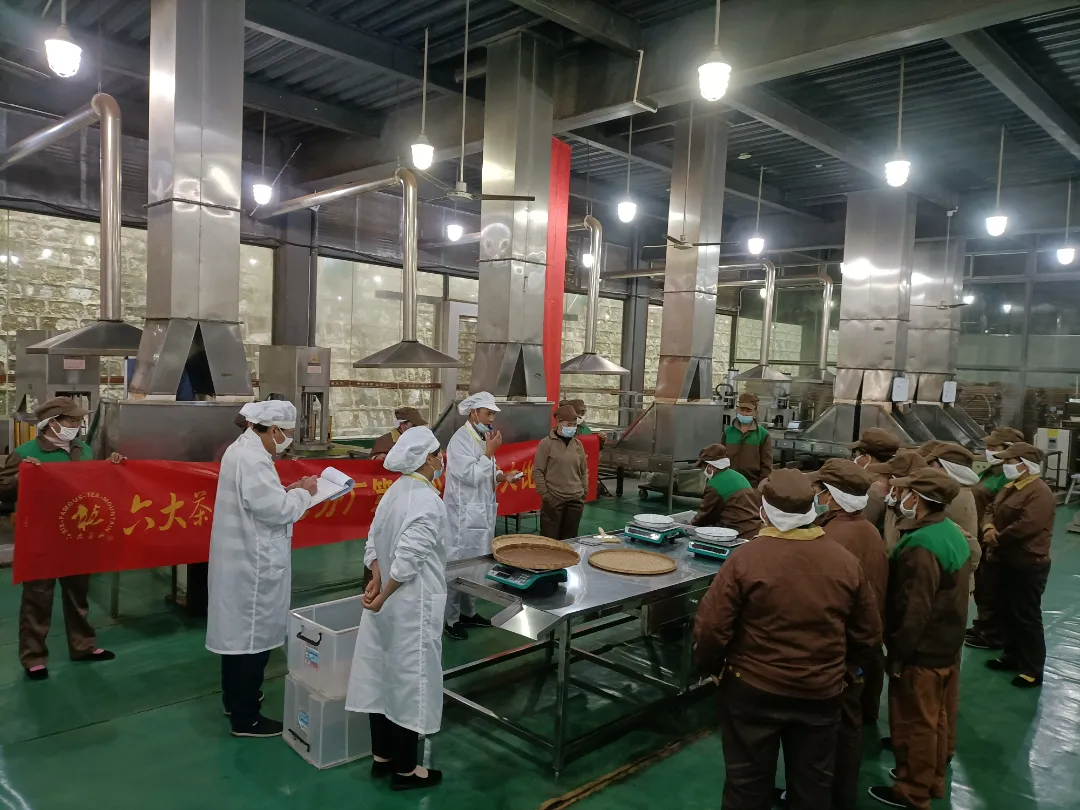 精益求精·鑄造品質(zhì)｜六大茶山第十四屆技術(shù)大比武圓滿(mǎn)完成