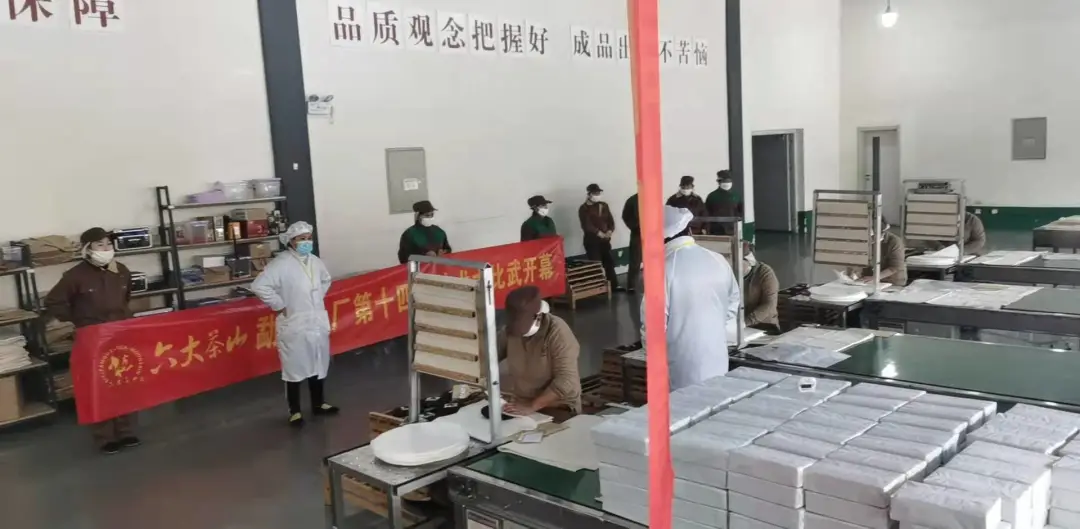 精益求精·鑄造品質(zhì)｜六大茶山第十四屆技術(shù)大比武圓滿(mǎn)完成