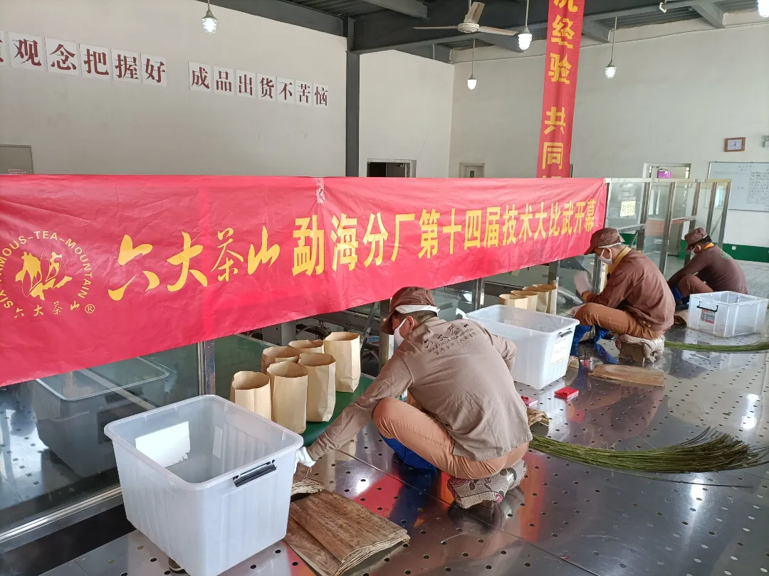 精益求精·鑄造品質(zhì)｜六大茶山第十四屆技術(shù)大比武圓滿(mǎn)完成